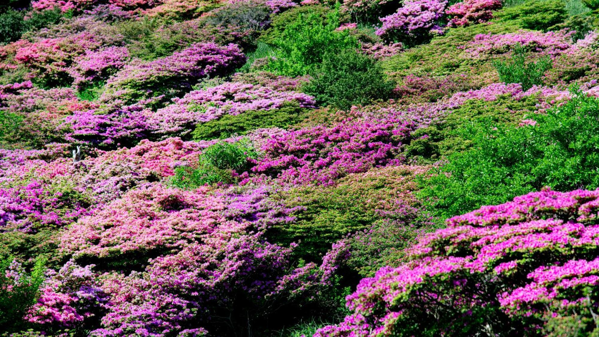 Unzen Iwaki Ryokan Dış mekan fotoğraf